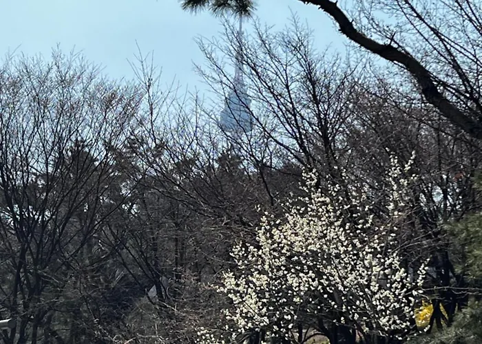 3 명동 종로 남산루프탑 신축아파트 무료짐보관 Apartment