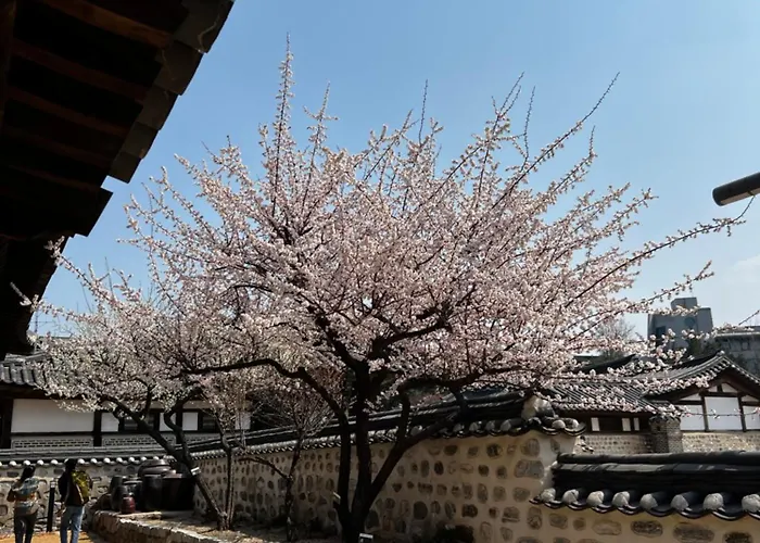 Apartment 3 명동 종로 남산루프탑 신축아파트 무료짐보관 Seoul